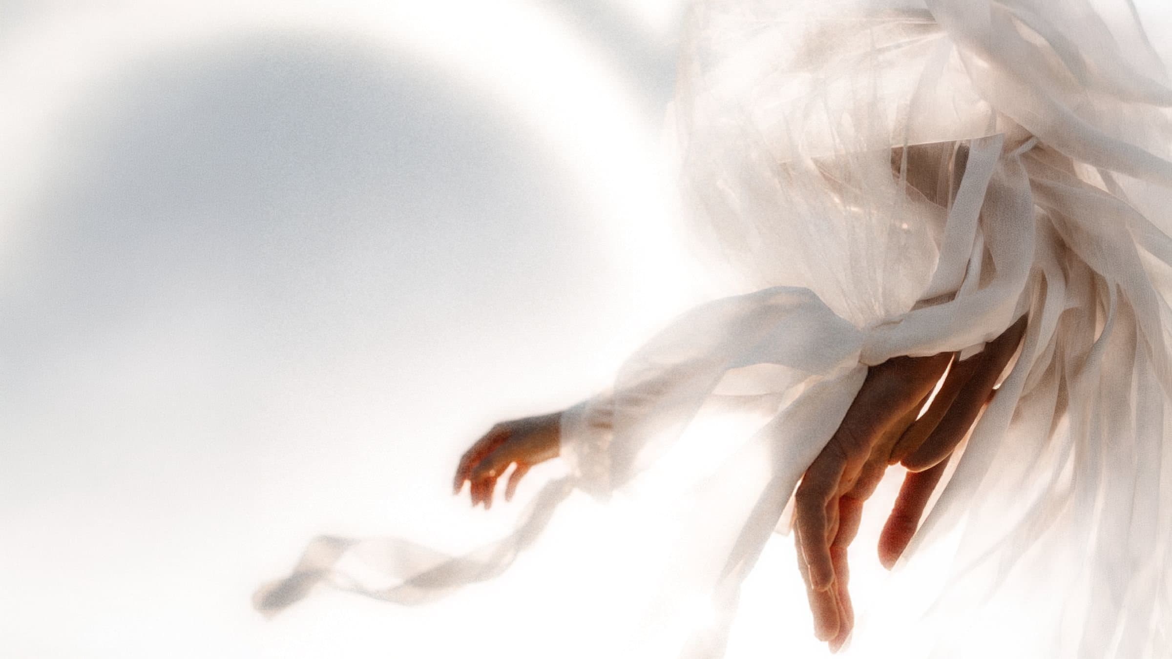 Sheer white fabric caught mid-air in bright light movement with direction.